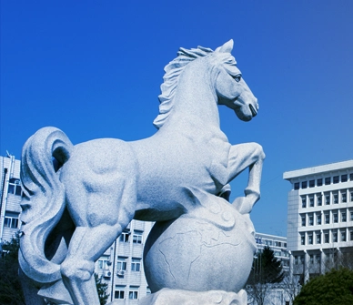 명지대학교