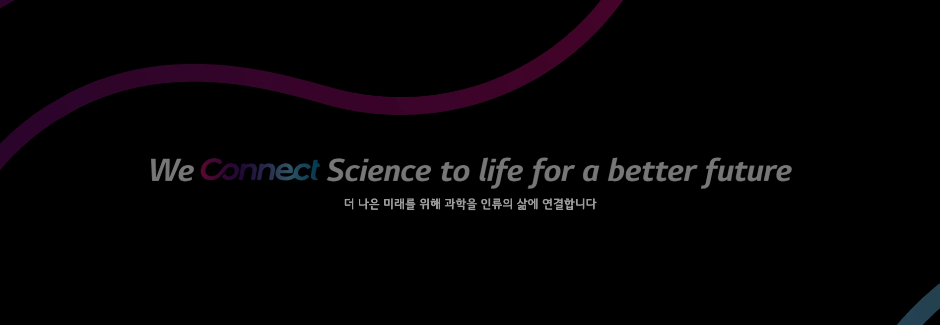 LG화학