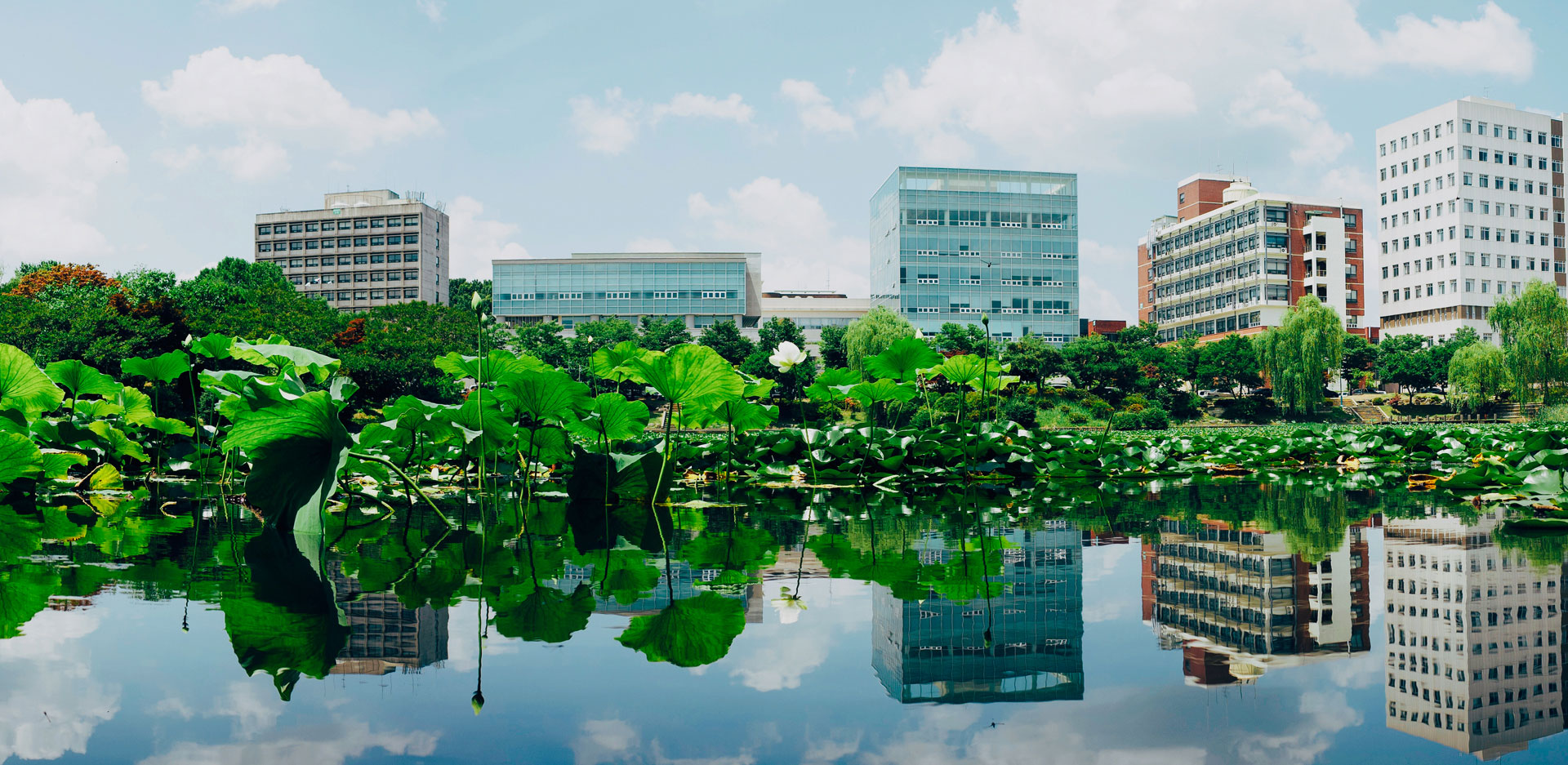 전남대학교 생체재료개발센터