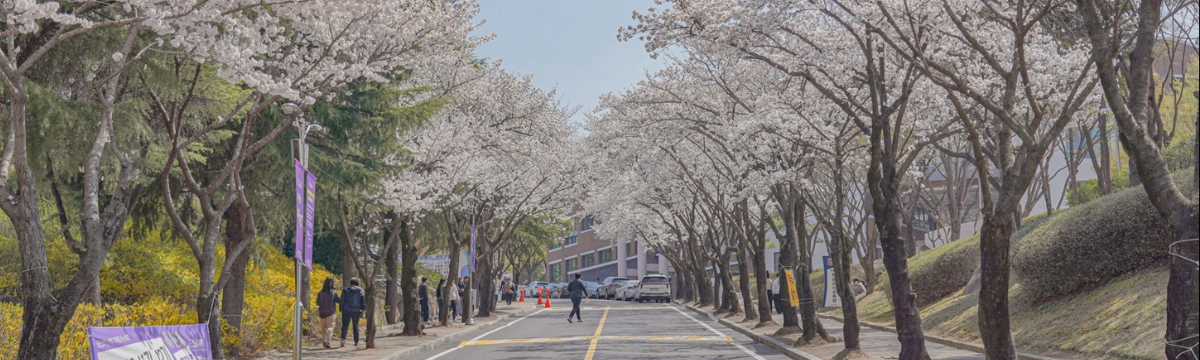 대경대학교